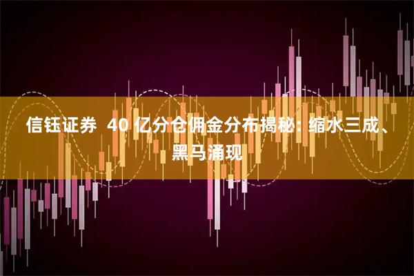 信钰证券  40 亿分仓佣金分布揭秘: 缩水三成、黑马涌现