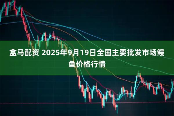 盒马配资 2025年9月19日全国主要批发市场鳗鱼价格行情