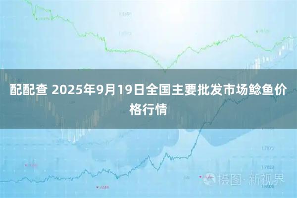 配配查 2025年9月19日全国主要批发市场鲶鱼价格行情