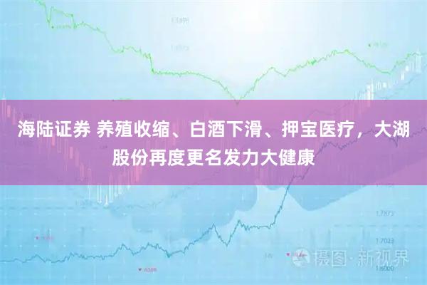 海陆证券 养殖收缩、白酒下滑、押宝医疗,大湖股份再度更名发力大健康
